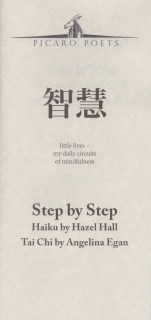 Step by Step - cover