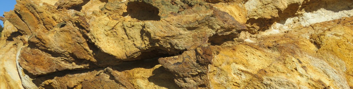 Aboriginal Culture in&nbsp;Haiku