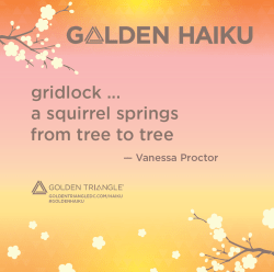Golden Haiku - Vanessa