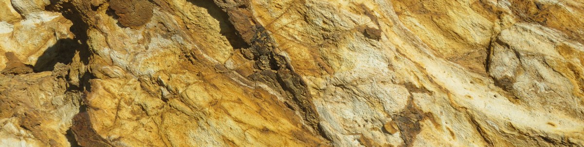 All the Way Home: Aging in&nbsp;Haiku