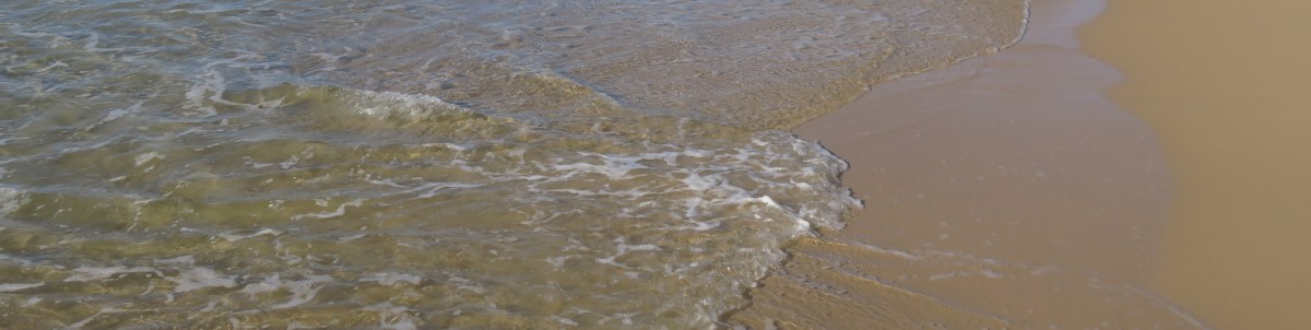 The Signature Haiku&nbsp;Anthology