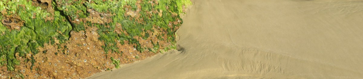 Helping Hand Haiku&nbsp;Anthology