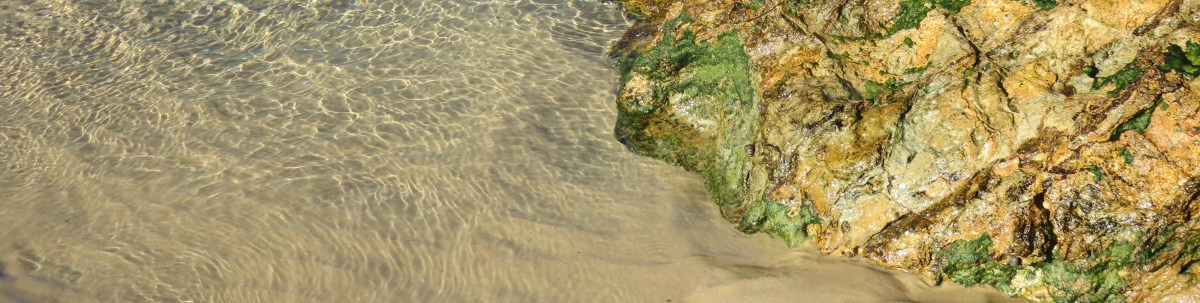 Cynthia Rowe Reviews breaking my&nbsp;journey