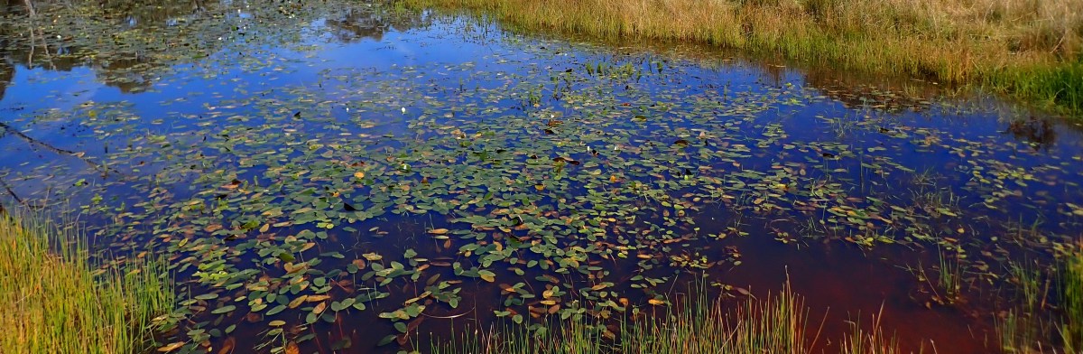 Presence reviews ‘breaking my&nbsp;journey’