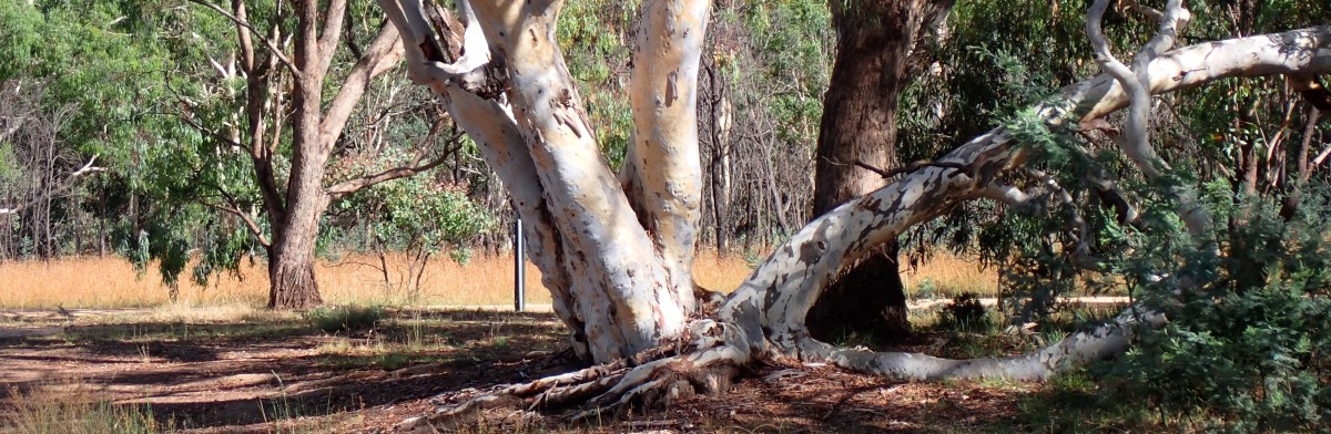 Meniscus: Volume 9, Issue&nbsp;2