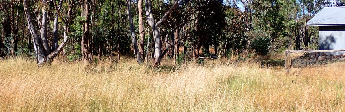 Colin Campbell: Poems