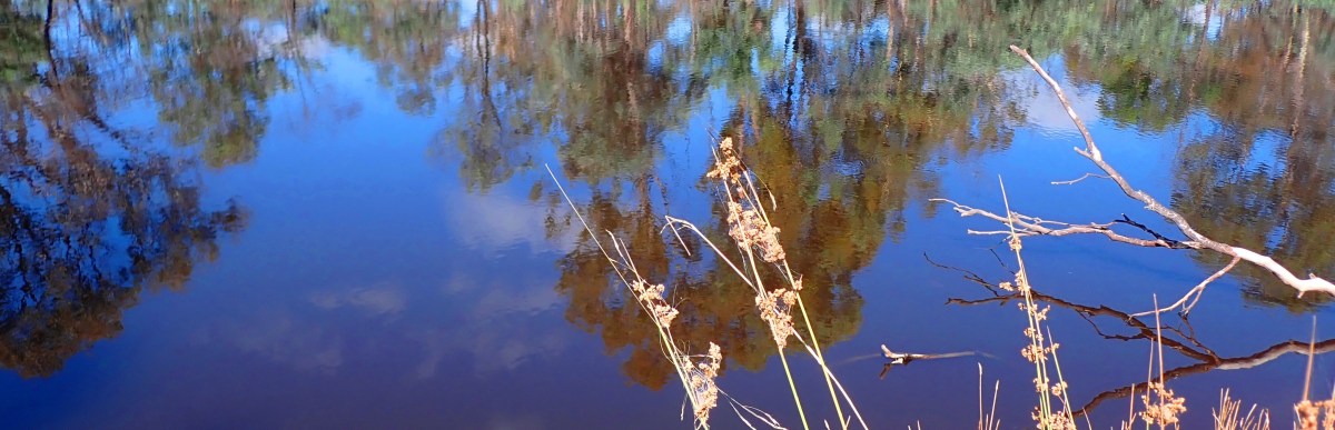 Ron C. Moss: Cloud&nbsp;Hands