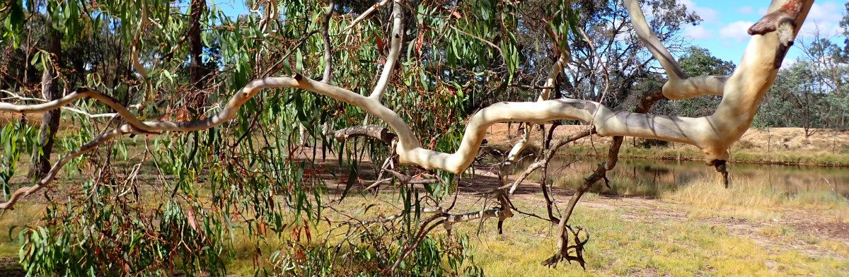 English-Language Haiku Journals