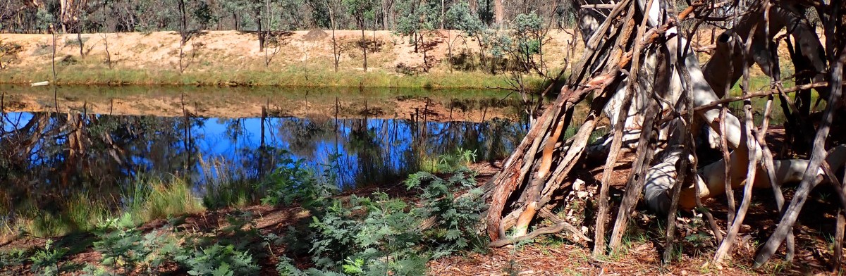 Creatrix Haiku Prize:&nbsp;2022